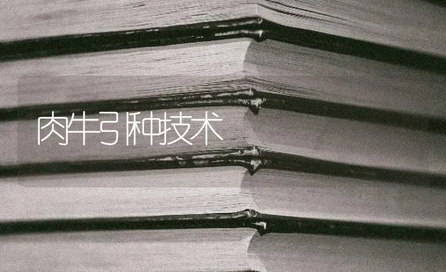 春季养鹅重防病 | 家禽养殖
