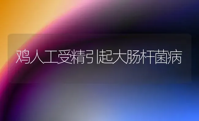 鸡人工受精引起大肠杆菌病 | 家禽养殖