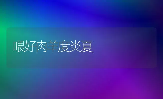 喂好肉羊度炎夏 | 家畜养殖