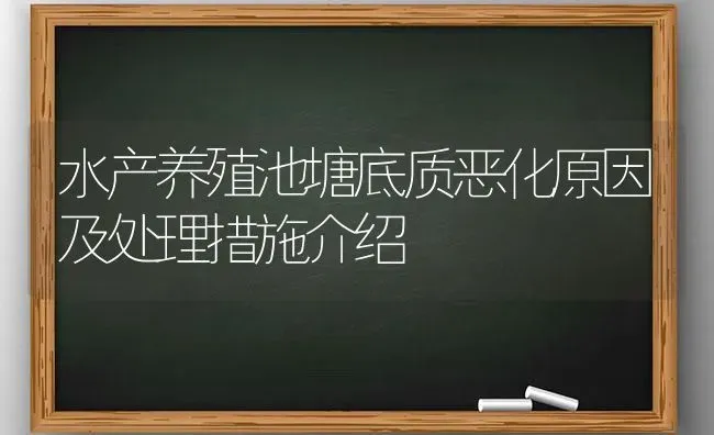 水产养殖池塘底质恶化原因及处理措施介绍 | 动物养殖百科