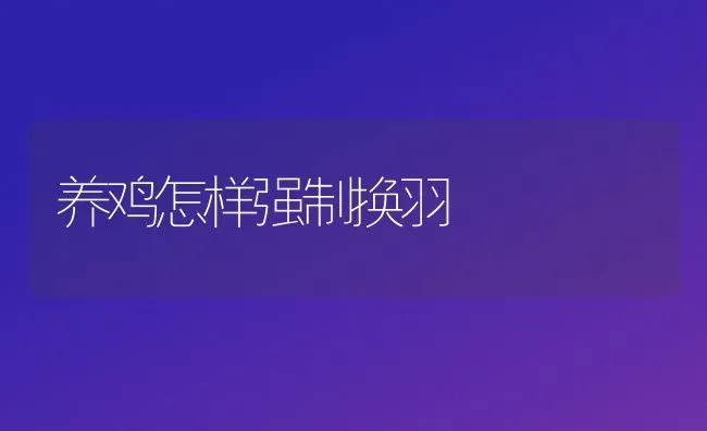 养鸡怎样强制换羽 | 家禽养殖