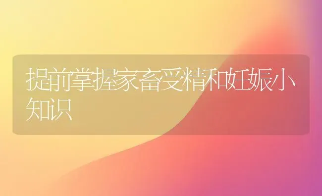 提前掌握家畜受精和妊娠小知识 | 家畜养殖