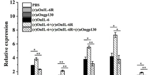 尼罗罗非鱼IL-6受体(IL-6R)和糖蛋白130(Gp130)的分子功能研究