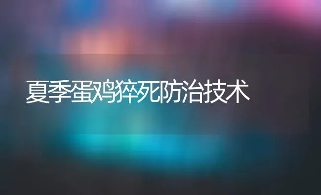 夏季蛋鸡猝死防治技术 | 家禽养殖