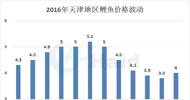 高工大讲堂 | 华北鲤鱼养殖，这个时间点出鱼盈利最大！