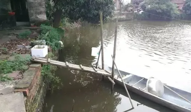 南美白对虾塘重金属超标和蓝藻的处理案例分享