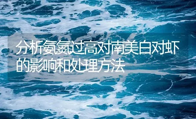 分析氨氮过高对南美白对虾的影响和处理方法 | 海水养殖