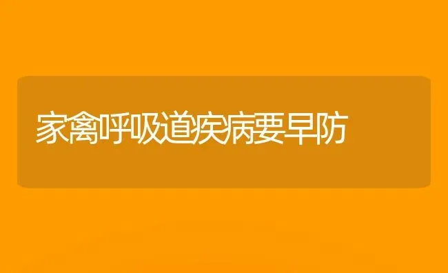家禽呼吸道疾病要早防 | 家禽养殖