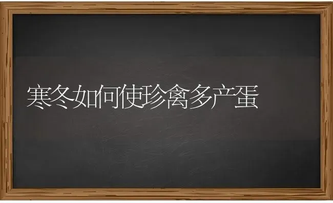 寒冬如何使珍禽多产蛋 | 家禽养殖
