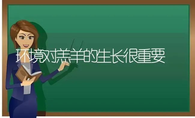 环境对羔羊的生长很重要 | 家畜养殖
