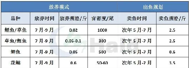高工大讲堂 | 华北鲤鱼养殖，这个时间点出鱼盈利最大！