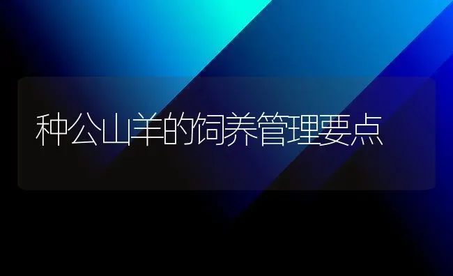 种公山羊的饲养管理要点 | 家畜养殖