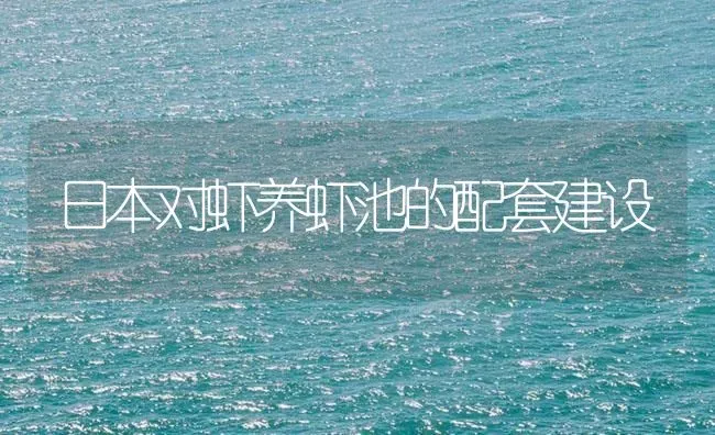 日本对虾养虾池的配套建设 | 海水养殖