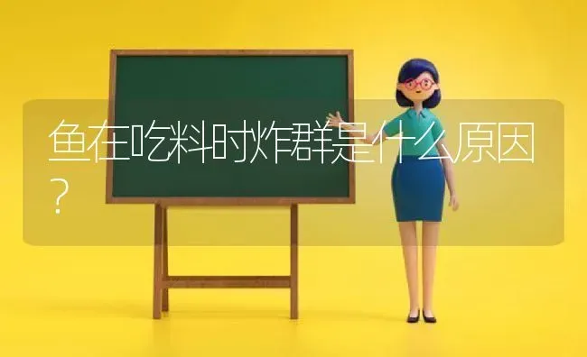 鱼在吃料时炸群是什么原因？ | 动物养殖百科