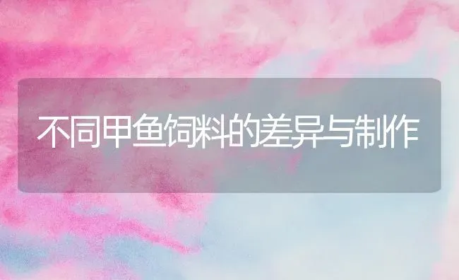 不同甲鱼饲料的差异与制作 | 动物养殖饲料