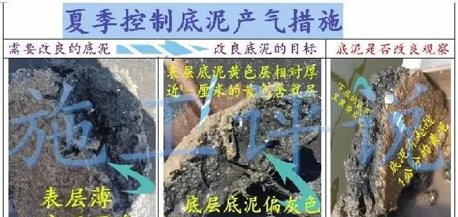 夏季高温季节池塘下风口为什么会看到一些小泡泡，有什么危害？