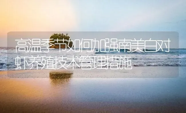 高温季节如何加强南美白对虾养殖技术管理措施 | 海水养殖