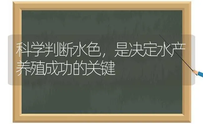 科学判断水色，是决定水产养殖成功的关键 | 动物养殖百科