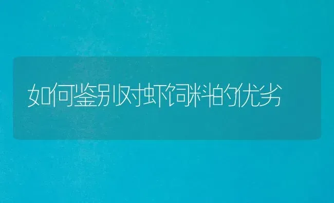 如何鉴别对虾饲料的优劣 | 动物养殖饲料