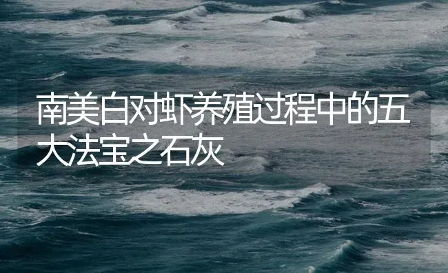 南美白对虾养殖过程中的五大法宝之石灰 | 海水养殖