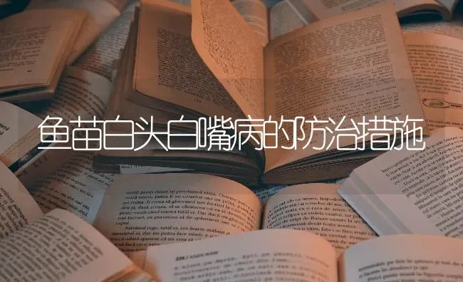 鱼苗白头白嘴病的防治措施 | 淡水养殖