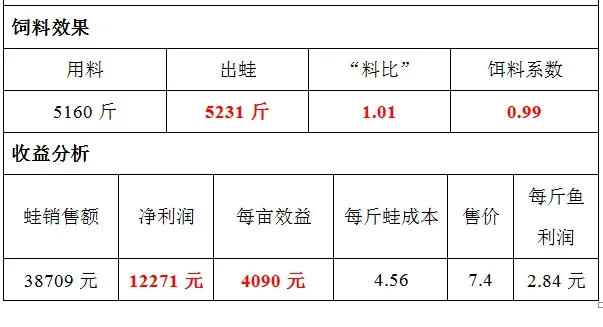 大北农蛙料表现出众，闽南错峰养殖达人1斤料出蛙1斤多