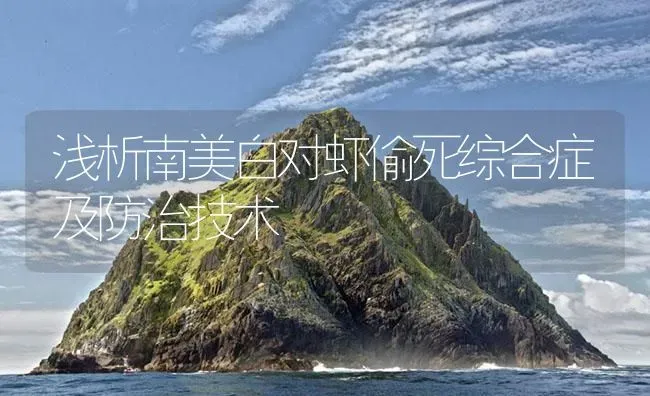 浅析南美白对虾偷死综合症及防治技术 | 海水养殖