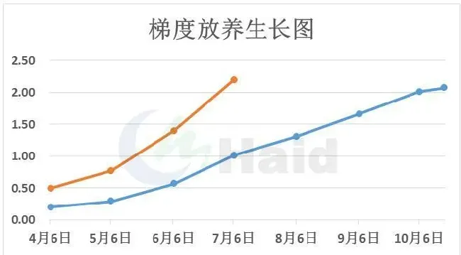 高工大讲堂 | 华北鲤鱼养殖，这个时间点出鱼盈利最大！