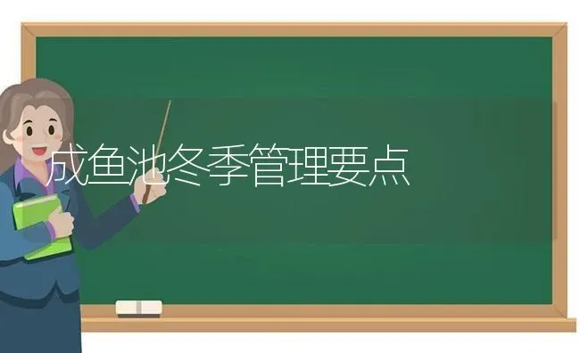 成鱼池冬季管理要点 | 淡水养殖