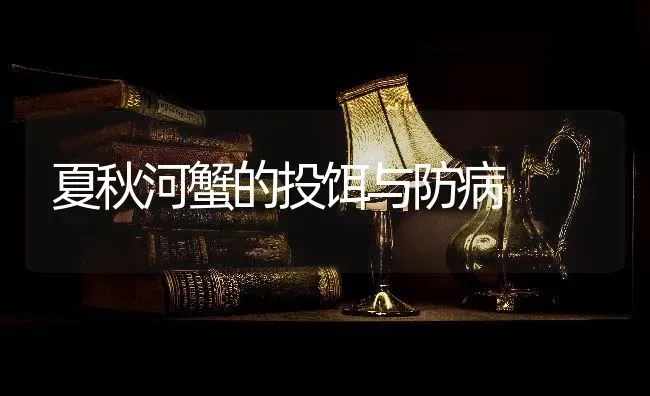 夏秋河蟹的投饵与防病 | 淡水养殖