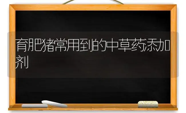 育肥猪常用到的中草药添加剂 | 养殖病虫害防治