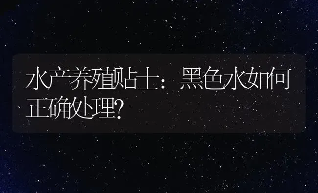 水产养殖贴士：黑色水如何正确处理？ | 动物养殖百科