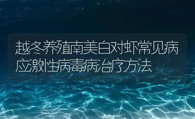 越冬养殖南美白对虾常见病应激性病毒病治疗方法 | 海水养殖