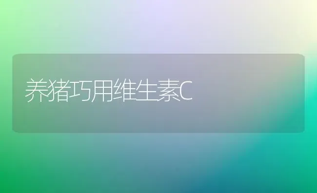 养猪巧用维生素C | 家畜养殖