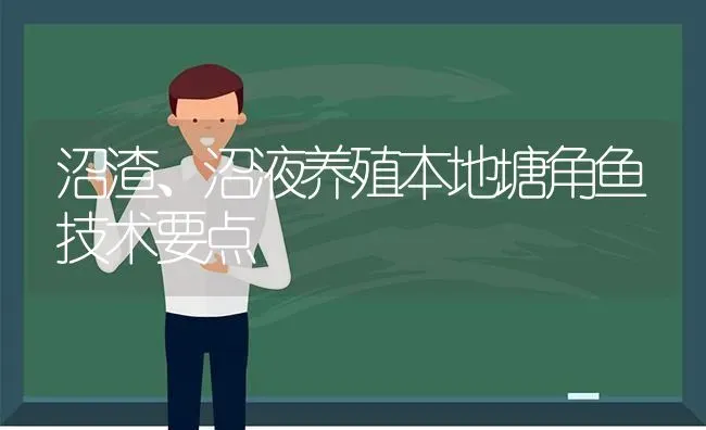 沼渣、沼液养殖本地塘角鱼技术要点 | 动物养殖百科