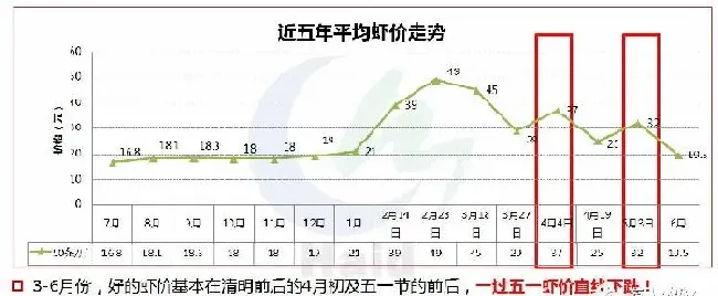 2018年第一造南美白对虾应该怎么养？