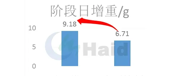 高工大讲堂 | 华北鲤鱼养殖，这个时间点出鱼盈利最大！