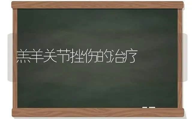 羔羊关节挫伤的治疗 | 家畜养殖