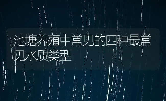 池塘养殖中常见的四种最常见水质类型 | 动物养殖百科