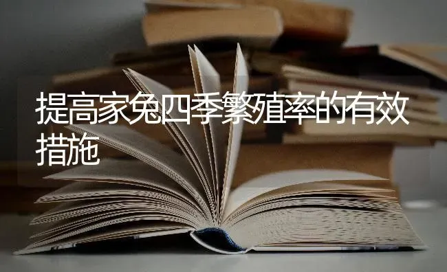 提高家兔四季繁殖率的有效措施 | 家畜养殖