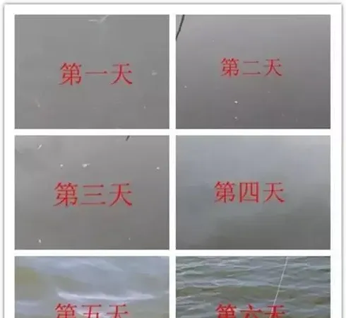 【实战案例】全程分析南美白对虾对虾肠炎病