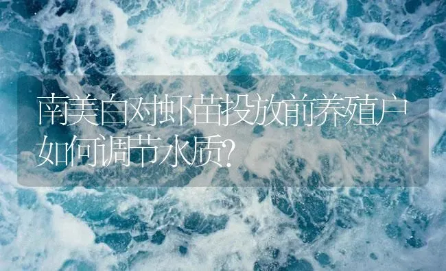 南美白对虾苗投放前养殖户如何调节水质？ | 海水养殖