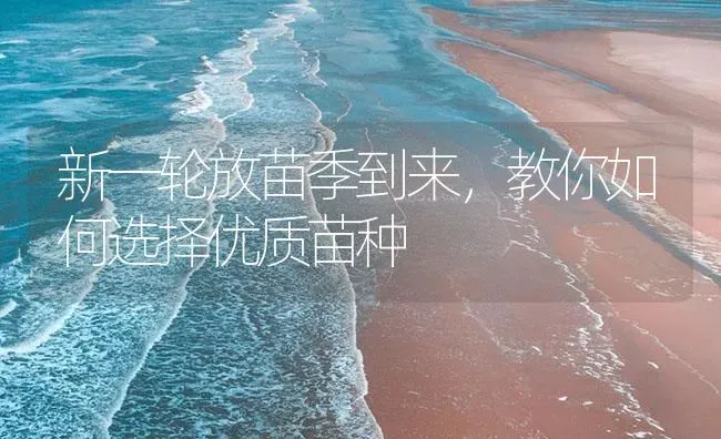 新一轮放苗季到来，教你如何选择优质苗种 | 淡水养殖