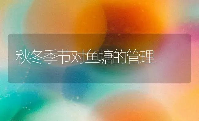 秋冬季节对鱼塘的管理 | 淡水养殖