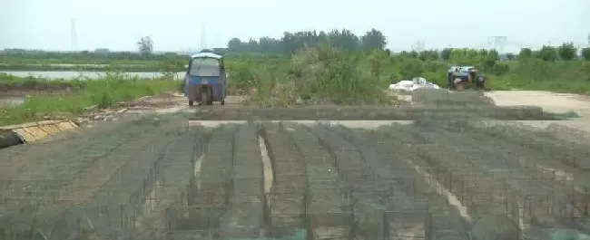 小龙虾会缺氧而死，还喜新厌旧？有可能是地笼惹的祸！