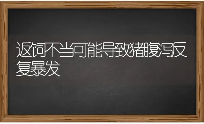 返饲不当可能导致猪腹泻反复暴发 | 家畜养殖
