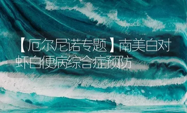 【厄尔尼诺专题】南美白对虾白便病综合症预防 | 海水养殖