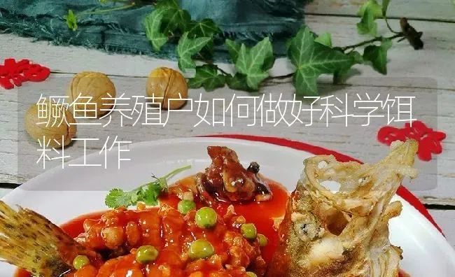 鳜鱼养殖户如何做好科学饵料工作 | 淡水养殖