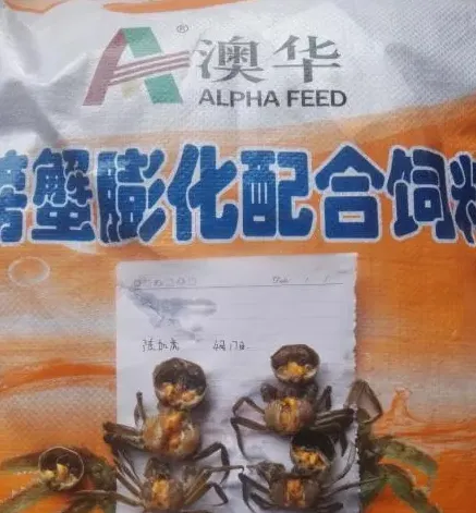 六月份抓住这四点，澳华助你的螃蟹“安康渡夏”