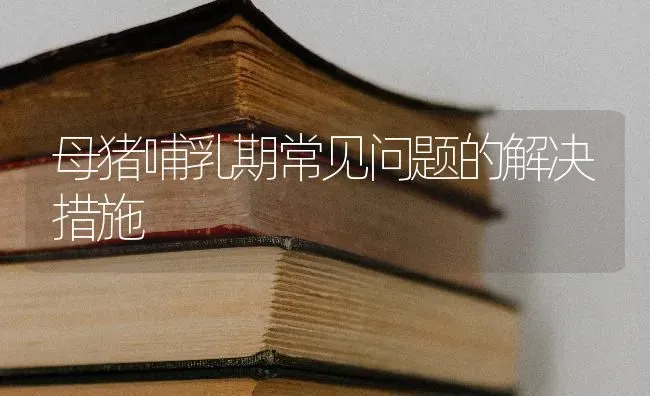 母猪哺乳期常见问题的解决措施 | 家畜养殖